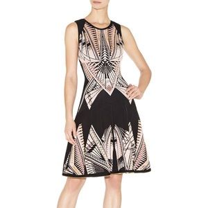 Herve Leger Polina Dress